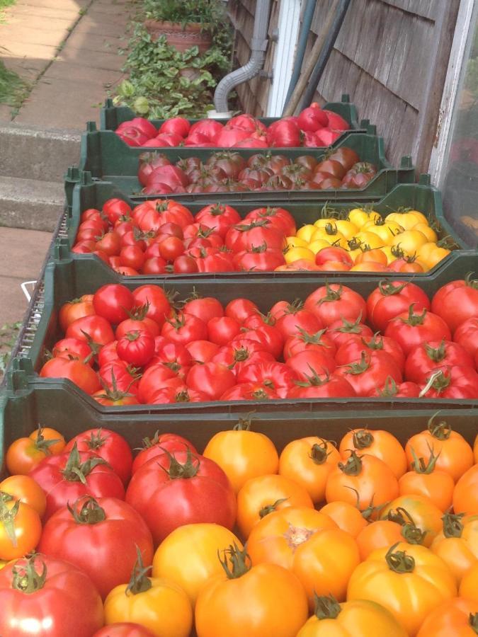 Nettles Farm Hotel Lummi Island Buitenkant foto